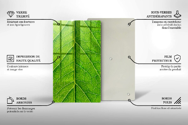 Copri piano induzione Vene delle foglie naturali