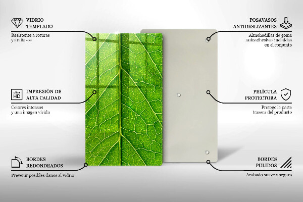 Copri piano induzione Vene delle foglie naturali
