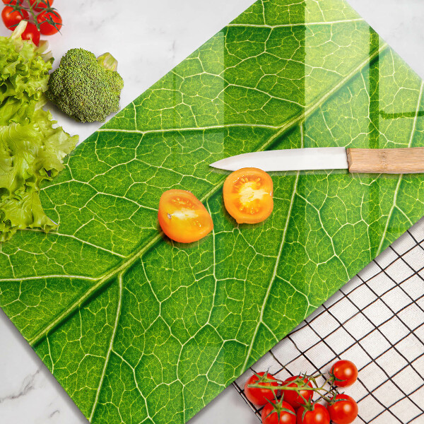 Copri piano induzione Vene delle foglie naturali