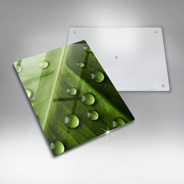 Copri piano induzione Rugiada e foglia della natura