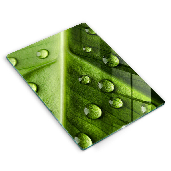 Copri piano induzione Rugiada e foglia della natura