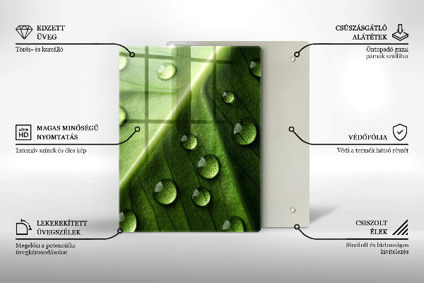 Copri piano induzione Rugiada e foglia della natura