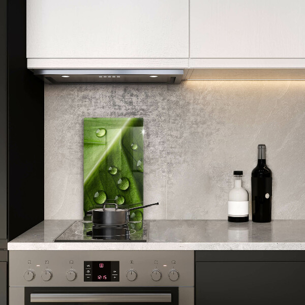 Copri piano induzione Rugiada e foglia della natura