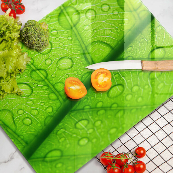 Copri piano cottura Primo piano di una foglia