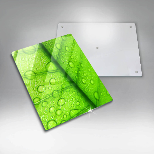 Copri piano cottura Primo piano di una foglia