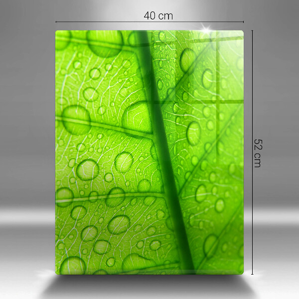 Copri piano cottura Primo piano di una foglia