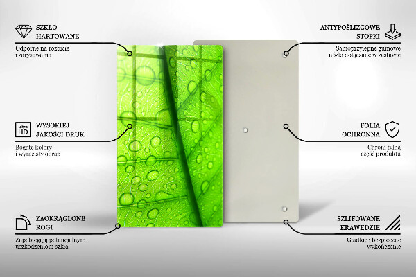 Copri piano cottura Primo piano di una foglia