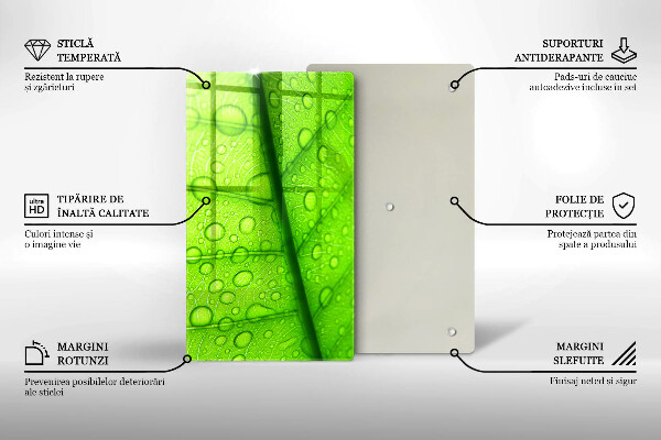 Copri piano cottura Primo piano di una foglia