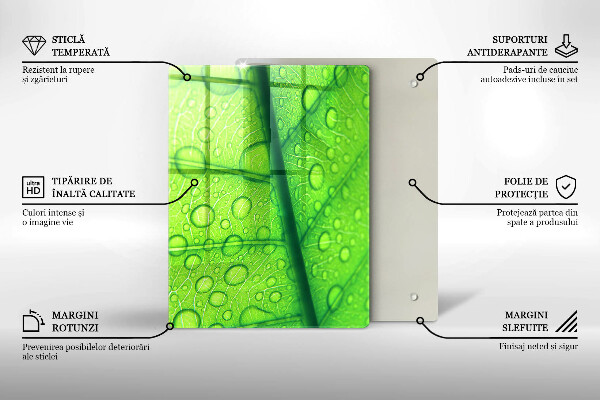 Copri piano cottura Primo piano di una foglia