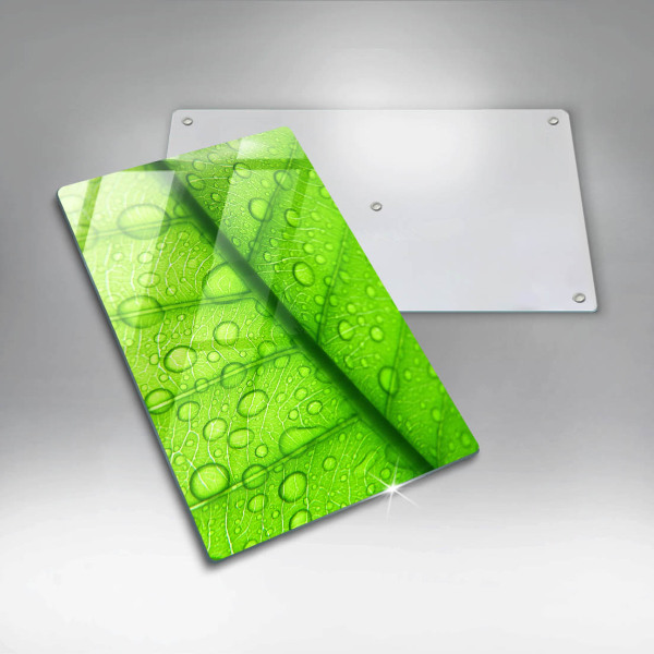 Copri piano cottura Primo piano di una foglia