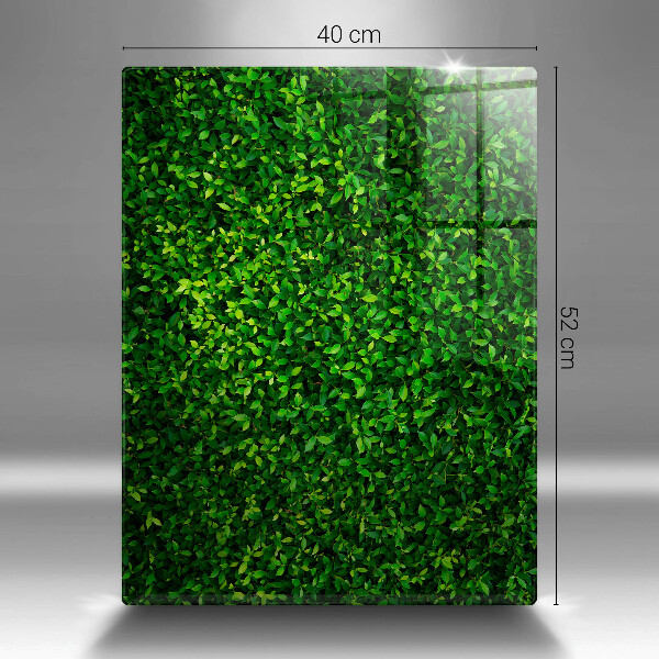 Copri fornello cucina Pianta con foglie piccole