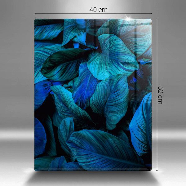 Copri fornello cucina Foglie della vegetazione della giungla