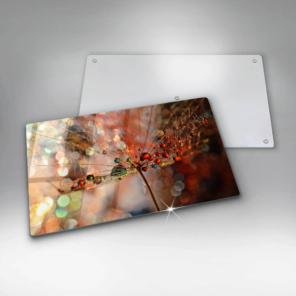 Copri piano cottura Dente di leone bagnato