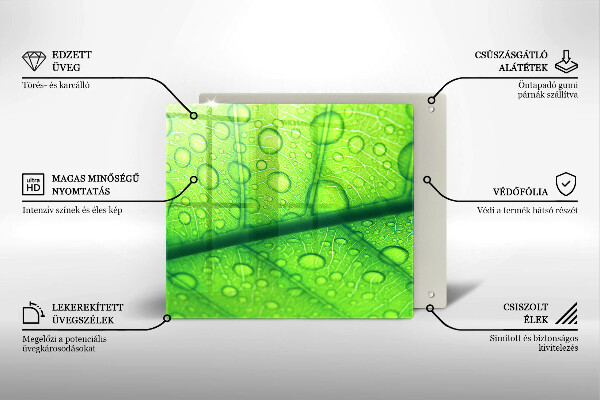 Copri piano cottura Primo piano di una foglia