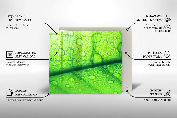 Copri piano cottura Primo piano di una foglia