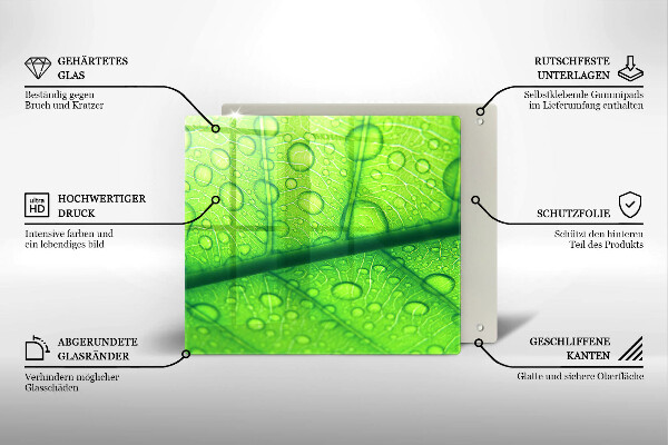 Copri piano cottura Primo piano di una foglia