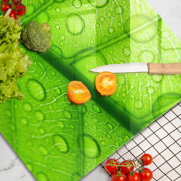 Copri piano cottura Primo piano di una foglia