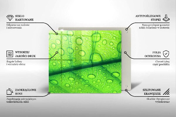 Copri piano cottura Primo piano di una foglia