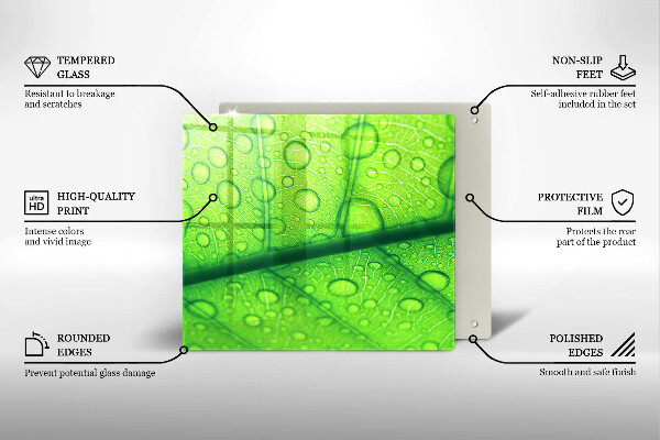 Copri piano cottura Primo piano di una foglia