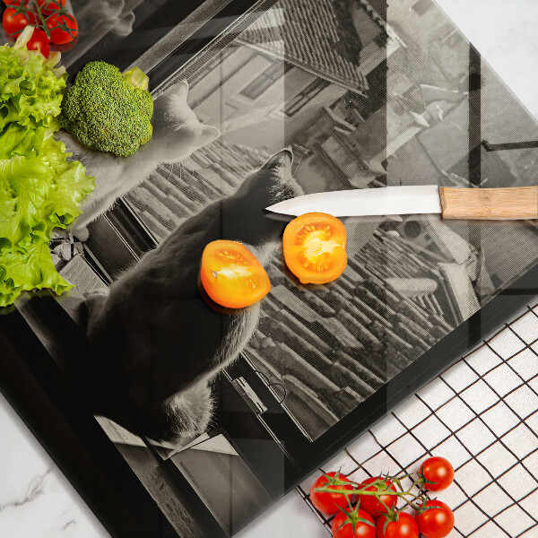 Copri piano cottura Città e finestra dei gatti