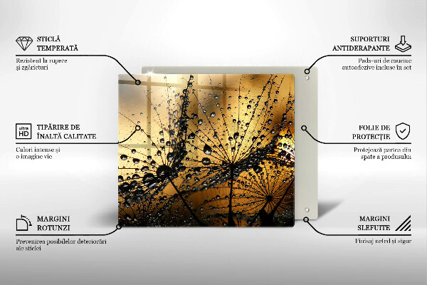 Copertura piano induzione Rugiada e denti di leone
