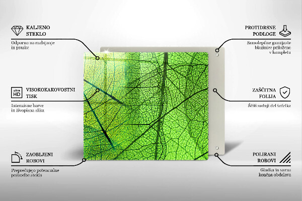 Copri piano cottura Vene delle foglie naturali
