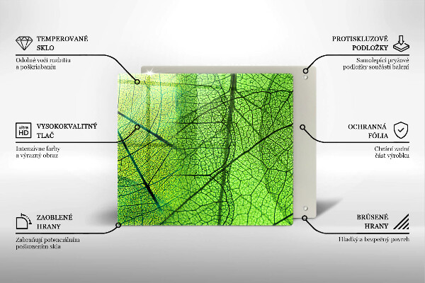 Copri piano cottura Vene delle foglie naturali