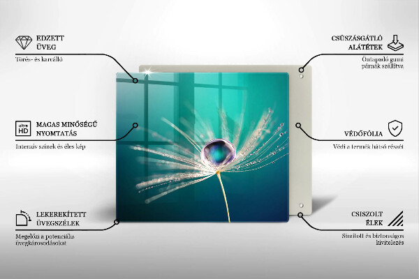 Proteggi piano induzione Rugiada su un dente di leone
