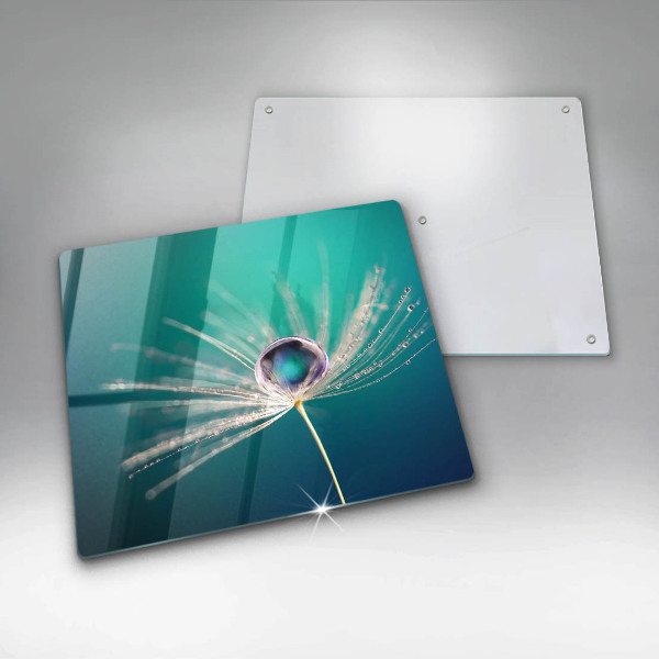 Proteggi piano induzione Rugiada su un dente di leone