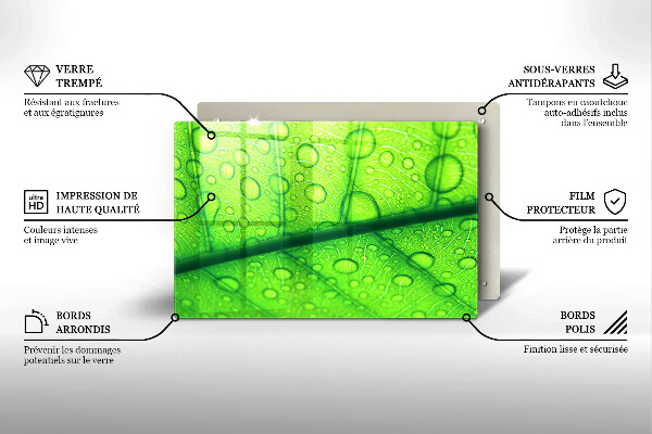 Protezione piano cottura Primo piano di una foglia