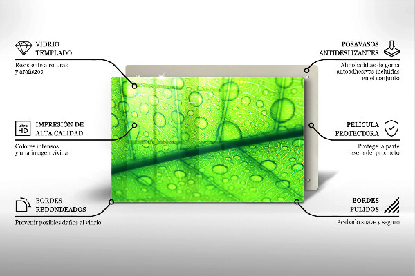 Protezione piano cottura Primo piano di una foglia