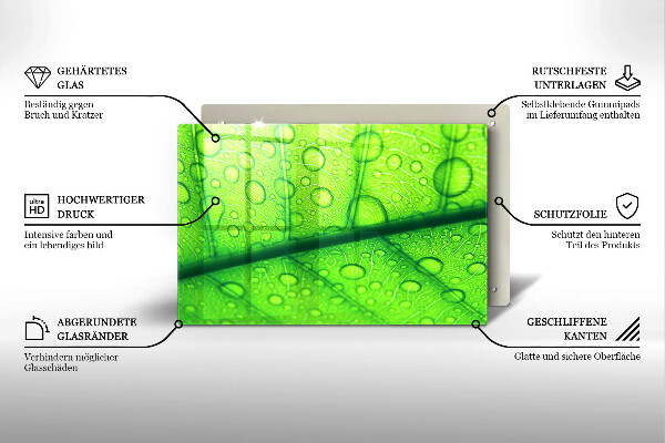 Protezione piano cottura Primo piano di una foglia