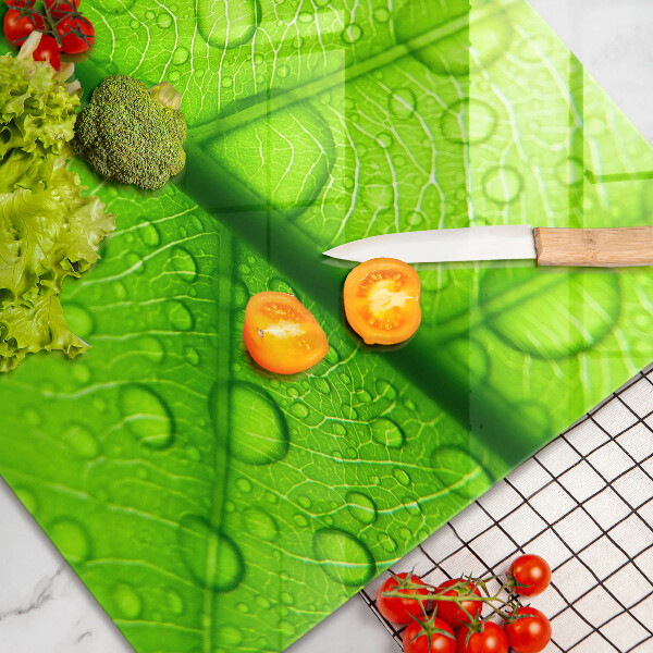 Protezione piano cottura Primo piano di una foglia