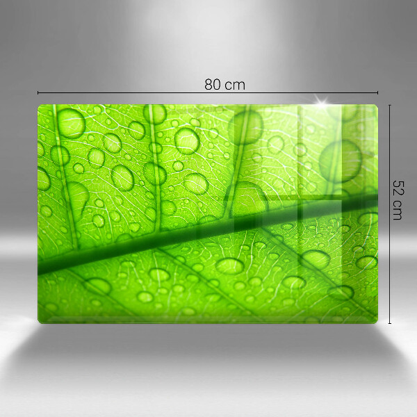 Protezione piano cottura Primo piano di una foglia