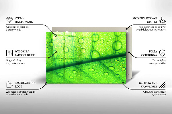 Protezione piano cottura Primo piano di una foglia