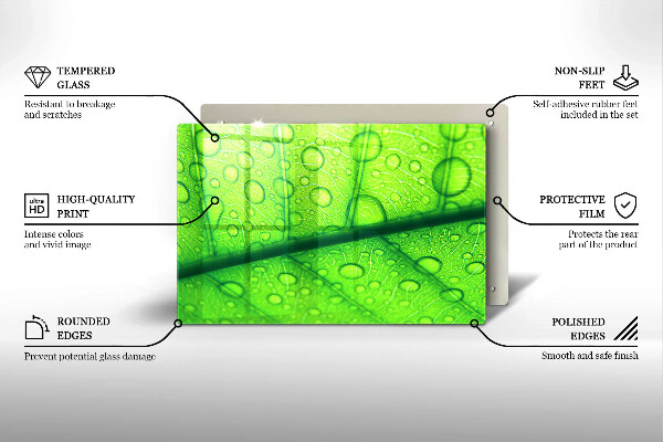 Protezione piano cottura Primo piano di una foglia