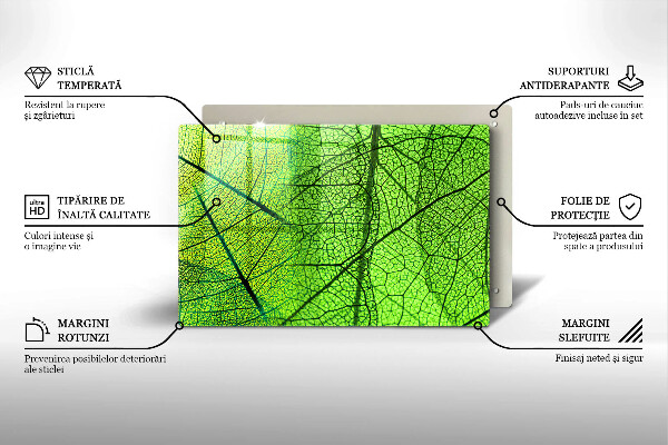 Copri piano cottura Vene delle foglie naturali