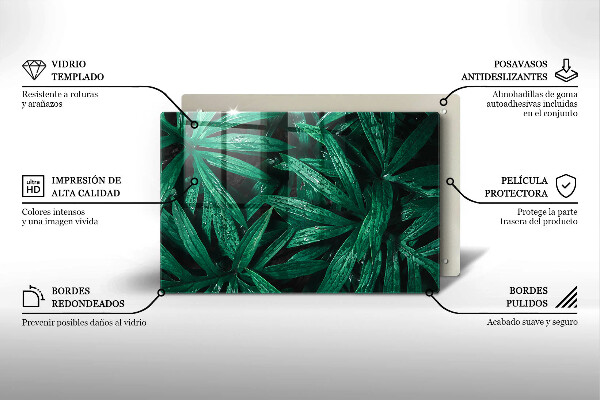 Copri piano cottura Foglie di piante