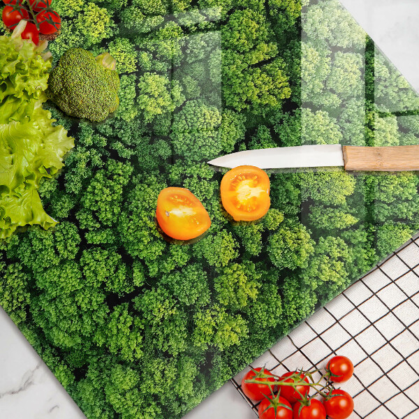 Protezione piano cottura Pianta di muschio naturale