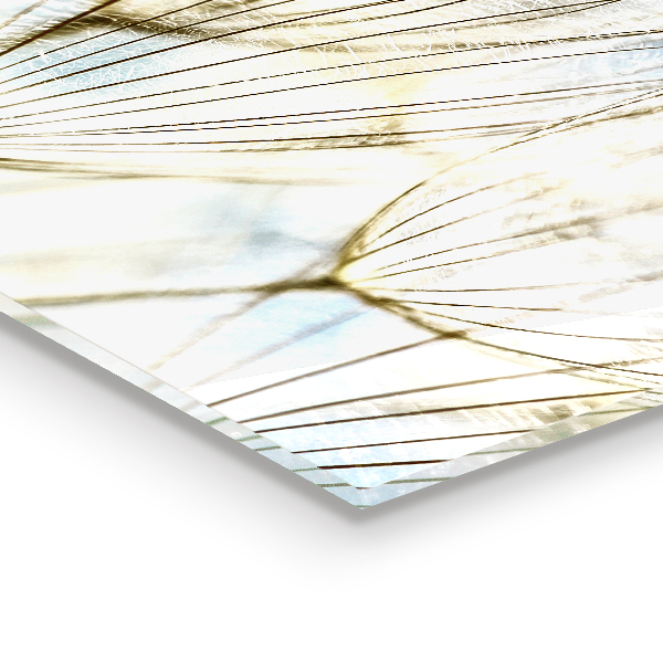 Rivestimento parete cucina Dente di leone dente di leone nel vento