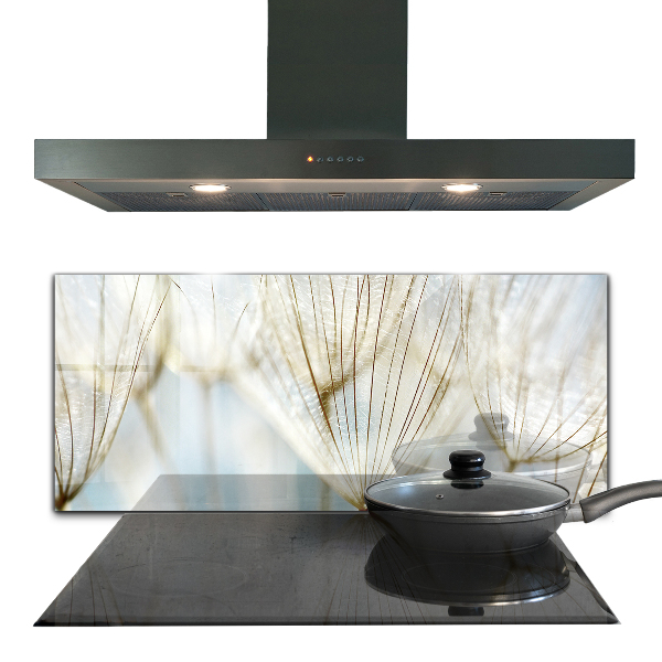 Rivestimento parete cucina Dente di leone dente di leone nel vento