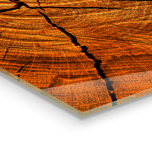 Pannello paraschizzi cucina Struttura del tronco