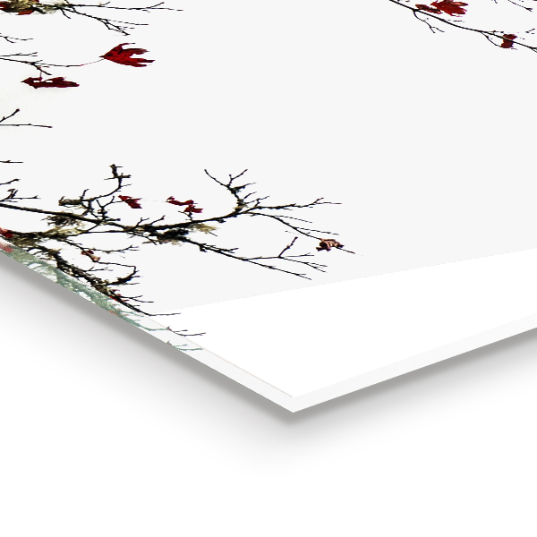 Pannello rivestimento parete cucina Paesaggio serenità