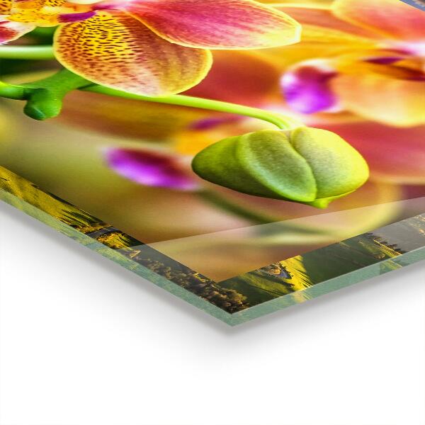 Rivestimento parete cucina Orchidea arancione