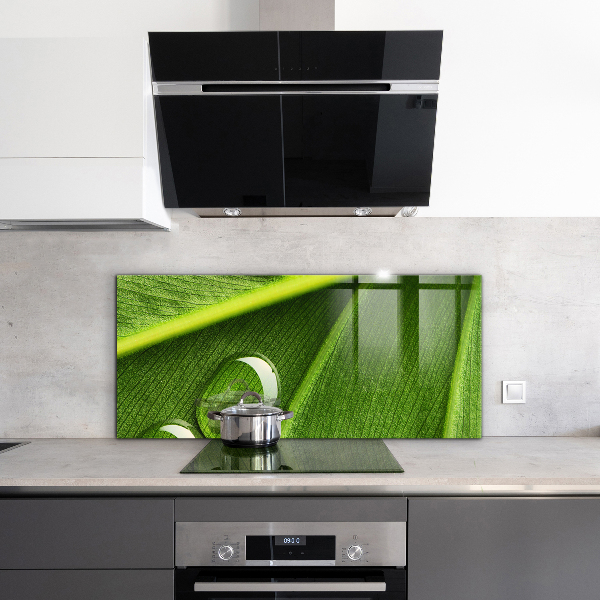 Rivestimento parete cucina Goccia di rugiada su una foglia