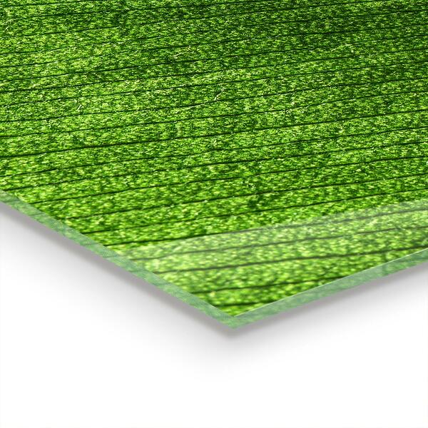 Rivestimento parete cucina Goccia di rugiada su una foglia