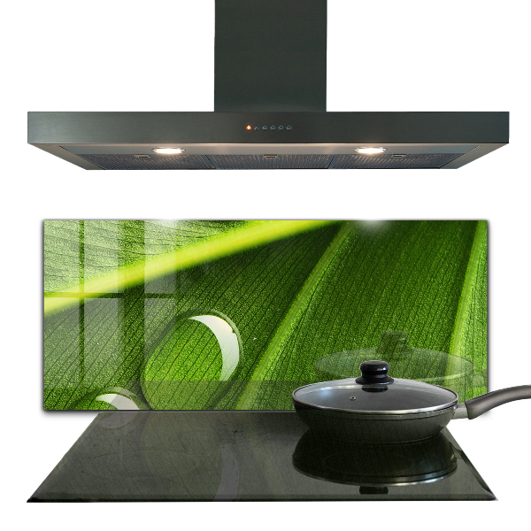 Rivestimento parete cucina Goccia di rugiada su una foglia