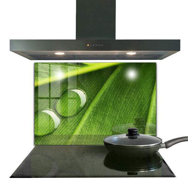 Rivestimento parete cucina Goccia di rugiada su una foglia