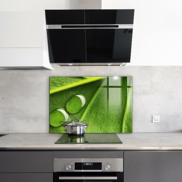 Rivestimento parete cucina Goccia di rugiada su una foglia