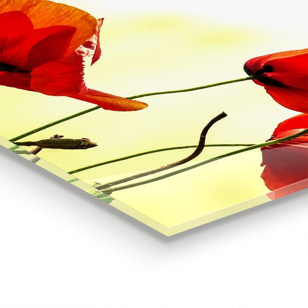 Rivestimento parete cucina Prato di campo con papaveri rossi